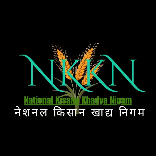 Read more about the article NKKN: National Kisaan Khadya Nigam Processing Unit in Gandhinagar District of GUJARAT